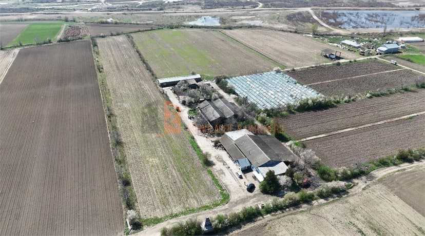 Hale + teren zona Scurtesti
